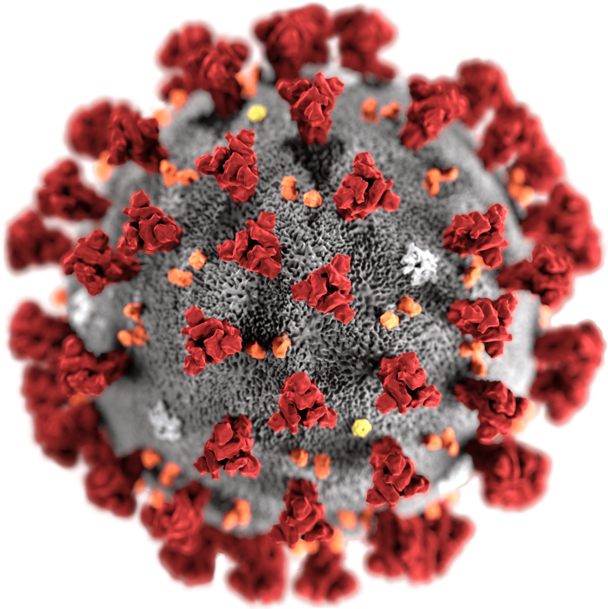 1200px-SARS-CoV-2_without_background