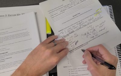 How to Prepare ESL Lesson Plan_Sentences Using Vocabulary